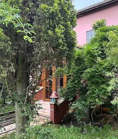 Villa Ormanya Sicak Havuzlu Soemineli Jakuzili