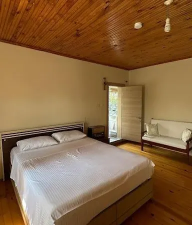 Ormanya Sicak Havuzlu Soemineli Jakuzili Villa *