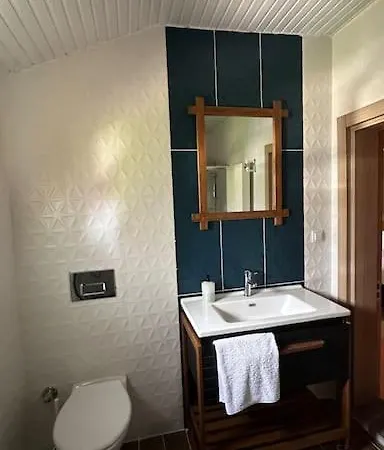 Ormanya Sicak Havuzlu Soemineli Jakuzili *