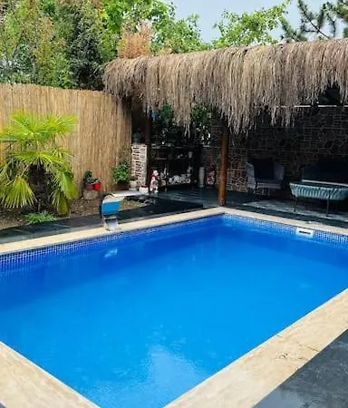 Ormanya Sicak Havuzlu Soemineli Jakuzili Villa *