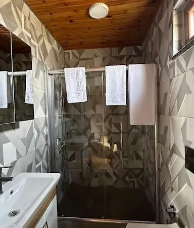 Ormanya Sicak Havuzlu Soemineli Jakuzili *