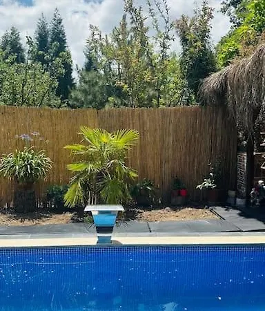 Ormanya Sicak Havuzlu Soemineli Jakuzili Kartepe